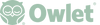 owletcarebaby.it.com